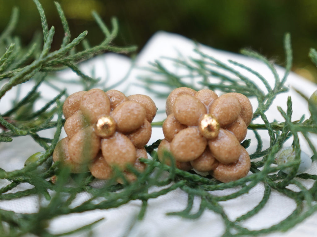 Blossom Studs in Golden Hour