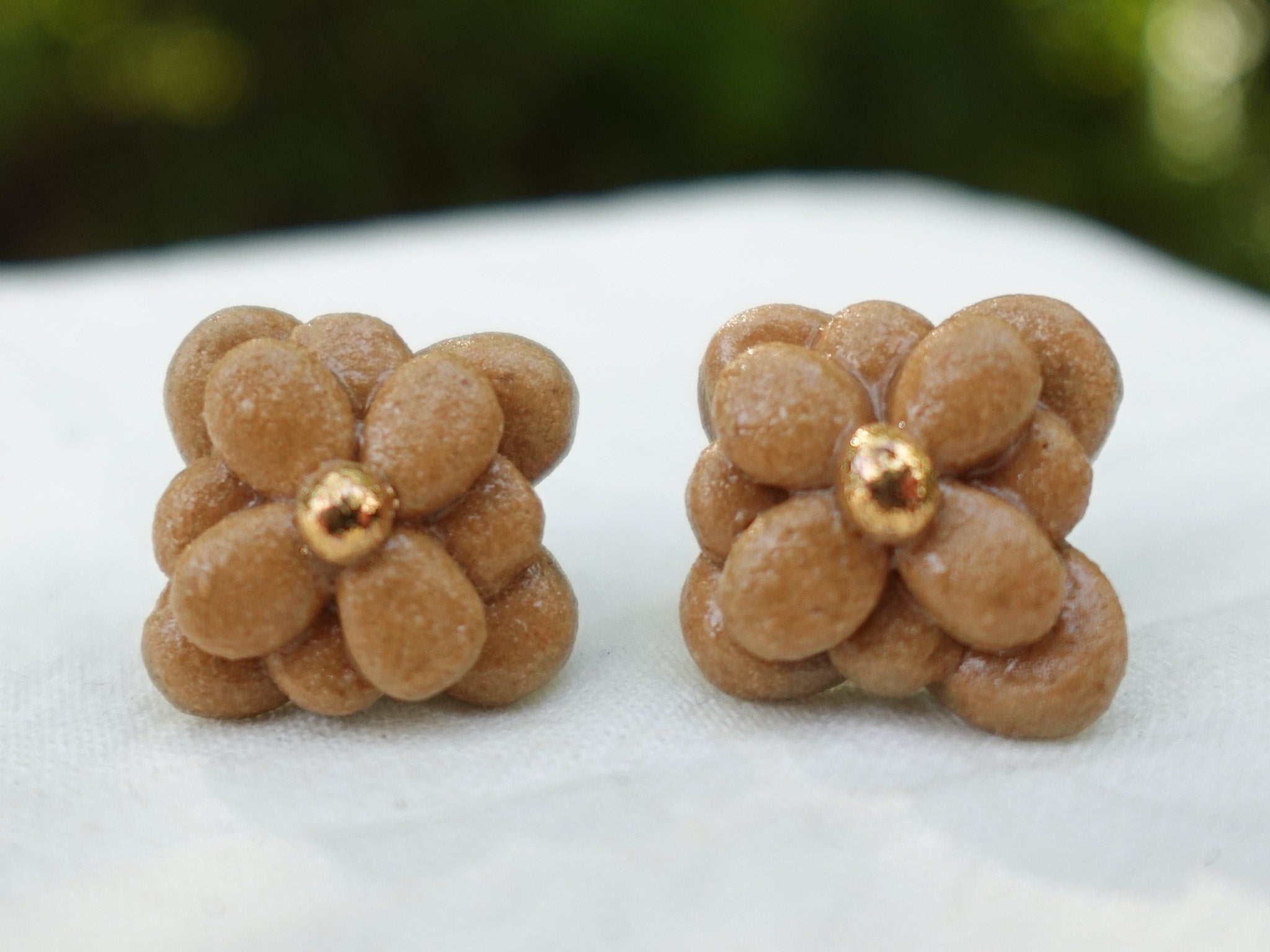 Blossom Studs in Golden Hour