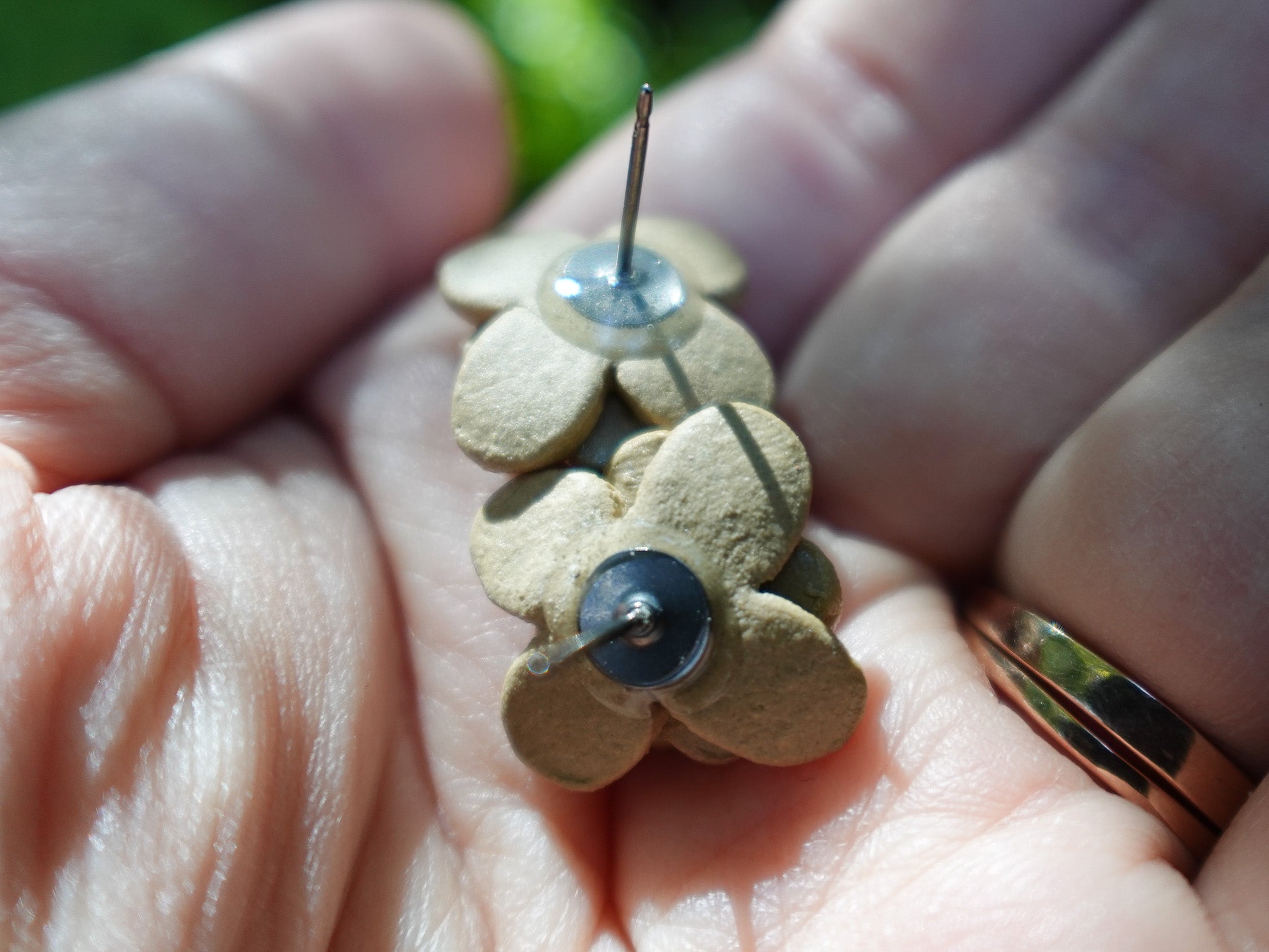 Blossom Studs in Golden Hour
