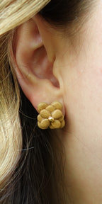 Blossom Studs in Golden Hour